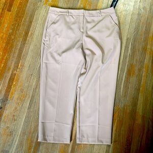 Women’s beige size 16 dress pants Ricki’s fit solutions new with tags
